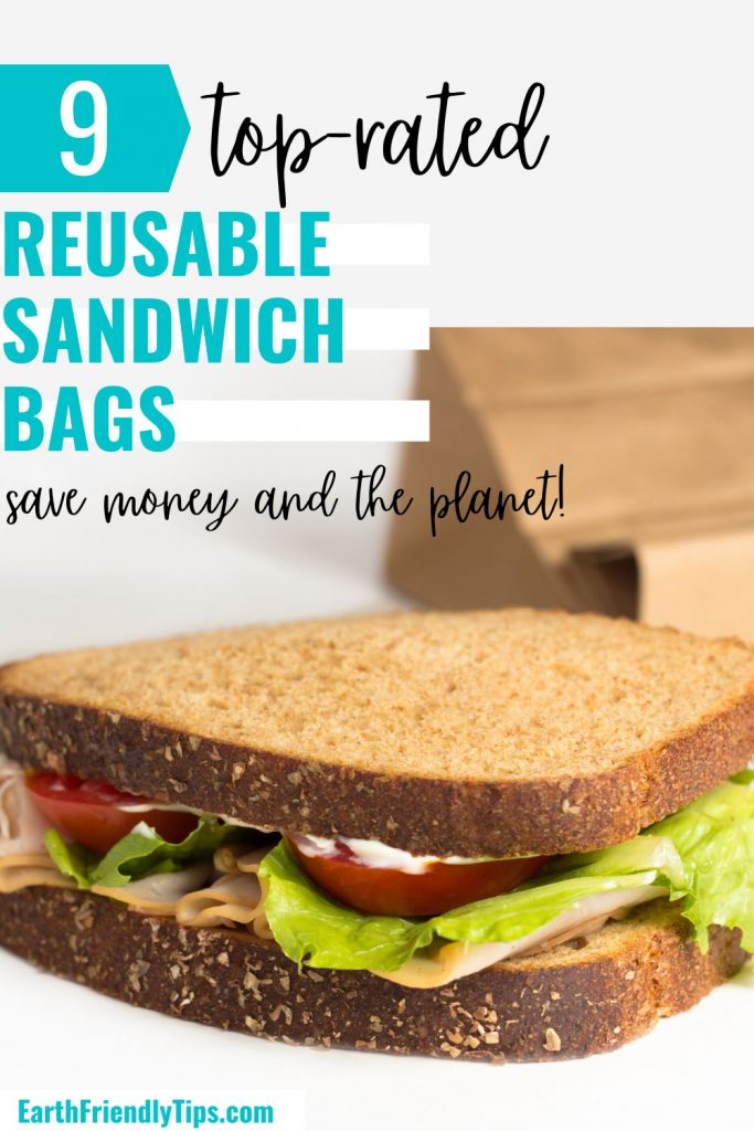 Picture of sandwich in front of paper bag with text overlay 9 Top-Rated Reusable Sandwich Bags Save Money and the Planet