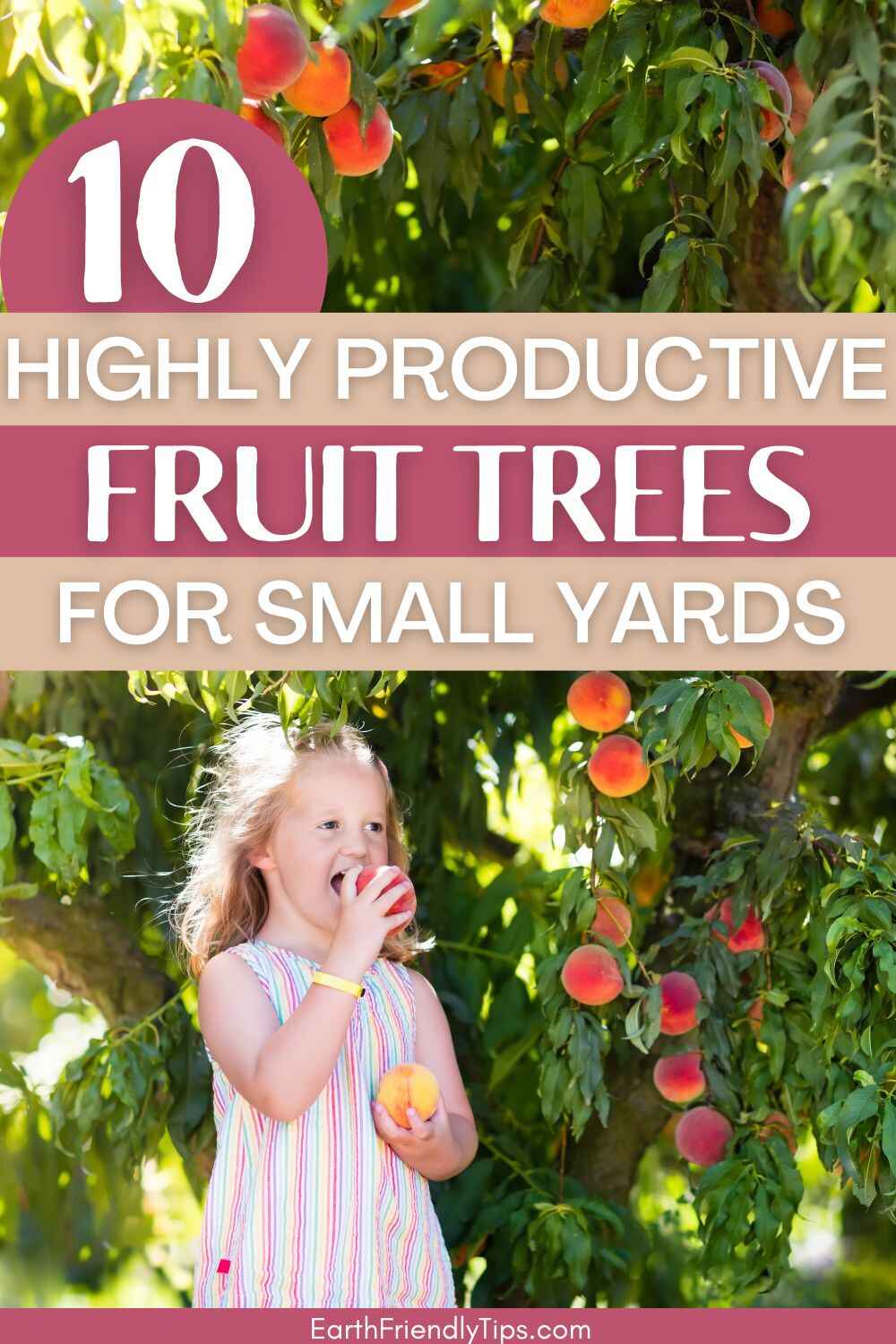 Picture of young girl eating peach picked from peach tree with text overlay 10 Highly Productive Fruit Trees for Small Yards