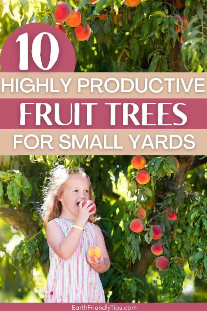 Picture of young girl eating peach picked from peach tree with text overlay 10 Highly Productive Fruit Trees for Small Yards