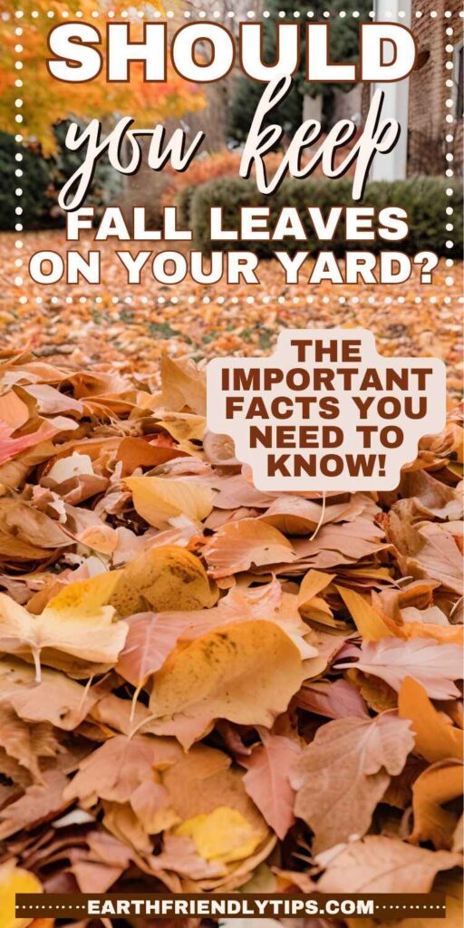 Picture of fallen autumn leaves in front yard with text overlay Should You Keep Fall Leaves on Your Yard? The Important Facts You Need to Know!