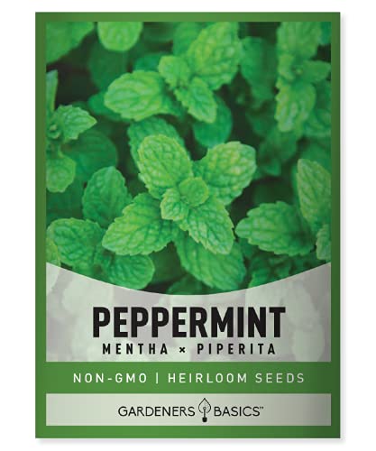 Gardeners Basics, Peppermint Seeds for Planting is A Heirloom, Open-Pollinated, Non-GMO Herb Variety- Great for Indoor and Outdoor Gardening and Herbal Tea Gardens