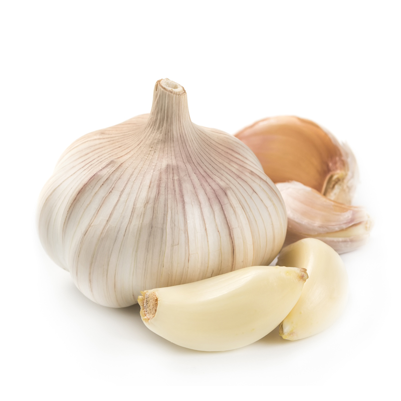 Garlic