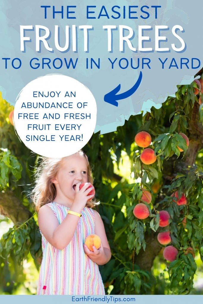 Picture of young girl standing next tree biting a peach with text overlay The Easiest Fruit Trees to Grow in Your Yard