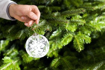 Person hanging glass ornament on real Christmas tree