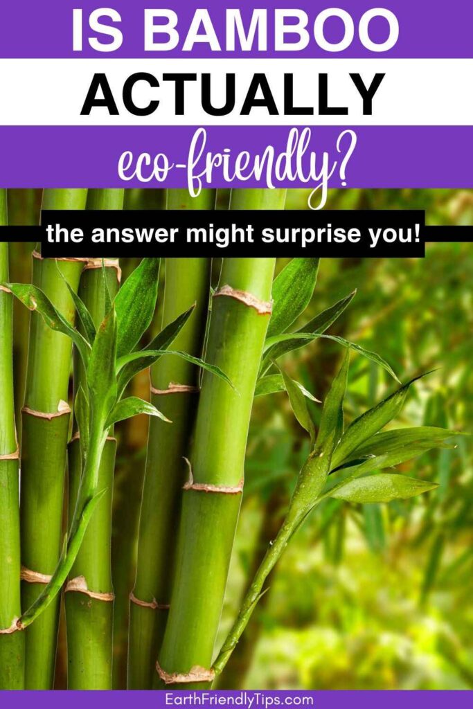 Close up picture of bamboo with text overlay Is Bamboo Actually Eco-Friendly? The Answer Might Surprise You!