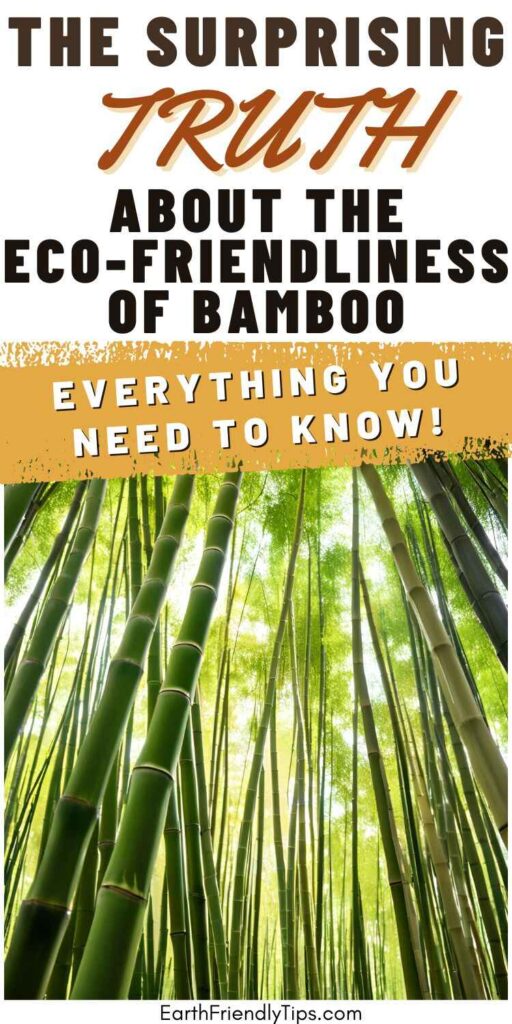 Picture of bamboo forest with text overlay The Surprising Truth About the Eco-Friendliness of Bamboo Everything You Need to Know!