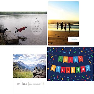 Tree-Free Greetings assorted birthday cards