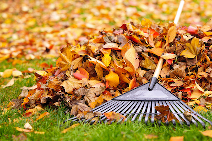 Biodegradable Yard Waste Bags for a Sustainably Clean Lawn