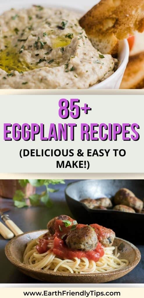 Eggplant dip and eggplant meatballs with text overlay 85+ Eggplant Recipes